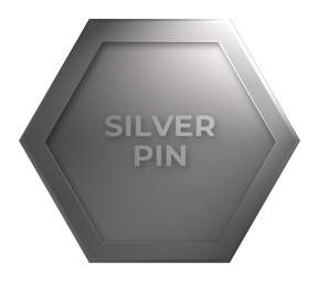 Silver pin